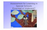 Assessment for Learning in Special Schools Essential or ... · PDF filethan judge whether they have learnt. ... special schools ? Is ‘assessment for ... them. I set myself goals