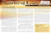 parks of רֹוא יצוצינּ Light - The Baal Shem Tov ... · PDF filethe Yiddishe tahara. The punishment was: the spiritual destruction of the Beis HaMikdash, death, and slavery