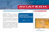 Hatchery Maintenance - Aviagenen.aviagen.com/assets/Uploads/HatcheryMaintenanceFINAL2.pdf · Hatchery Maintenance 2 BasIc PrIncIPles When setting up a maintenance program, there are