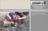 NSEA Salmon Spawning Grounds Surveys 2013REPORT+-+FINAL.pdf2013 NSEA Spawning Grounds Survey Report ... knowledge to this project. ... Appendix E. WDFW Scale Card Example ...