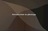 Introduction to phonopy - icms3icms3.weebly.com/uploads/3/5/9/0/3590130/version1.pdf · Phonopy is A phonon calculation toolbox and toolkit Easily installed on Ubuntu (or recent distributions)