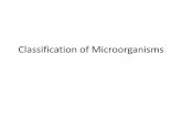 Classification of Microorganisms - · PDF fileMicroscopic morphology 2. Macroscopic morphology –colony appearance 3. ... • Simple grouping is based on method of motility, reproduction,