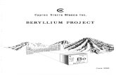 tmrcorp.comtmrcorp.com/_resources/pdf/CyprusFeasibilityAddendu… ·  · 2017-07-24Introduction The Sierra Blanca ... mine feasibility study and mill feasibility study have now ...