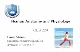 Human Anatomy and Physiology - KSU Facultyfac.ksu.edu.sa/sites/default/files/the_nervous_system.pdf · hydrocephalus. Blood Brain Barrier (BBB) • Keeps the brain separated from