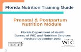 Prenatal & Postpartum Nutrition Moduledph.georgia.gov/sites/dph.georgia.gov/files/WIC_Resources/... · The Prenatal & Postpartum Nutrition Module is part of ... zNutrition care, ...