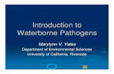 Introduction to Waterborne  · PDF fileIntroduction to Waterborne Pathogens ... milk, eggs), but also transmitted by water ... Slide 1 Author: MVYATES Created Date: