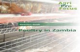 Poultry in Zambia - AgriProFocus · PDF fileInvestors Guide on Poultry in Zambia 2 As a strategy to contribute to improved investment and compe- ... Total National Poultry Feed Production