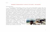 Middle Palaeolithic Culture of India : Nevasianeacharya.inflibnet.ac.in/data-server/eacharya-documents/5717528c8... · Middle Palaeolithic Culture of India : Nevasian ... Stone Age