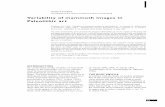 Variability of mammoth images in Paleolithic · PDF fileVariability of mammoth images in Paleolithic art Lioubine, V. P., 1996 – Variablity of mammoth images in Paleolithic art –