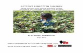 COTTON’S FORGOTTEN · PDF filecotton’s forgotten children child labour and below minimum wages in hybrid cottonseed production in india by dr. davuluri venkateswarlu july 2015