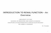 INTRODUCTION TO RENAL FUNCTION An Overviewvictorjtemple.com/Introduction to renal function PPP 4.pdf · INTRODUCTION TO RENAL FUNCTION ... Protein intake and Liver Function, the test