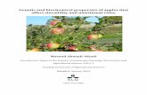 Jan21-Final introductory paper - Nordgen · PDF file2" " * Genetic’and’biochemical’properties’of’apples’that affect’storabilityandnutritional’value’ ’ ’ ’ Masoud’Ahmadi8Afzadi’