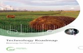 Technology Roadmap - International Energy · PDF fileTechnology Roadmap Bioenergy for Heat and Power. ... List of tables Table 1. Overview of bioenergy power plant conversion efficiencies