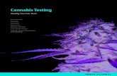 Cannabis Testing - Sigma-Aldrich: Analytical, Biology ... · PDF fileCannabis Testing Quality You Can Trust Cannabinoids Terpenes Pesticides Mycotoxins Residual Solvents Trace Metal
