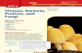piece at age 6. Girolamo Fracastoro Viruses, Bacteria ...glencoe.com/sec/science/ose/bdol2005/ca/docs/chap18.pdf · Chapter 20 Fungi Unit 6 Review ... 18.1 SECTION PREVIEW Objectives