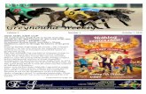 Greyhound  · PDF fileVictorian Greyhound Weekly - 1 - ... Greyhound Weekly’s main objective is to keep ... appeared in the Age newspaper in March