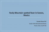 Rocky Mountain spotted fever in Sonora, Mexico Mountain spotted fever in Sonora, Mexico Gerardo Álvarez PhD ... Case-fatality ratio by age group. ... Global warming (Suárez, 2006;