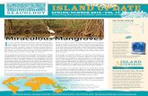 Island Update - Seacology · PDF file · 2017-02-17Featured Project: Sri Lanka.... 3 Project Updates ... shrimp ponds, industrial yards and other ill-conceived coastal developments.