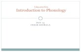 Ling 403/603 Introduction to Phonologyudel.edu/~koirala/phonology/day14.pdf · Introduction to Phonology. ... (The cases of English plural formation and Chimwiini illustrated that