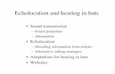 Echolocation and hearing in bats - University of Maryland ... · PDF fileEcholocation and hearing in bats ... Source movement • When the sound source is moving, the ... Echolocating