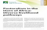 Pastoralism in the Horn of Africa: Diverse livelihood pathways · PDF file · 2016-08-02Horn of Africa: Diverse livelihood pathways ... their traditional places for grazing, water