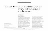 The basic science of Myofascial Release: morphologic ... · PDF fileThe basic science of myofascial release: ... organizing cybernetic biological ... Cybernetics or the control and