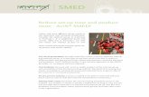 SMED - Prologia 4.0 SMED ENG_High_New.pdf · Reduce set-up time and produce more - AviX® SMED! Faster and more efficient set-up results in less downtime and increased productivity.