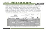 Inherent Factors Affecting Soil Nitrogen - CropWatch ... · Web viewFigure 1.—Nitrogen cycle (“Soil as a Plant Sees It,” University of Nebraska, 1991). Inherent Factors Affecting