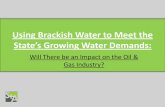 Using Brackish Water to Meet the - Mary · PDF fileUsing Brackish Water to Meet the ... •Amend Water Well Driller’s Act (TDLR ... Drilling, Well Control, and Completion Requirements