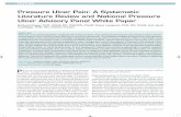 Pressure Ulcer Pain: A Systematic Literature Review and ... · PDF filePressure Ulcer Pain: A Systematic Literature Review and ... Barbara Pieper, PhD, ACNS-BC, CWOCN, FAAN ... a systematic