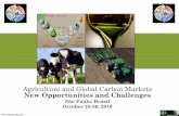 Agriculture and Global Carbon Markets New Opportunities ... · PDF fileAgriculture and Global Carbon Markets New Opportunities and Challenges ... Capturing Agriculture’s Carbon Value: