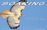 SOARING - Welcome | New Hampshire Fish and Game ... female lays one to five eggs in April. The eggs hatch within a month or so, and six weeks later, the young fledge; ten weeks after