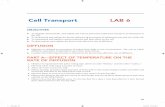 Cell Transport LAB 6 - My Anatomy and Physiology Mentor · PDF fileLab 6 Cell Transport | 37 5. Measure with a ruler the distance (in mmthat each dye has diffused in 10 min intervals