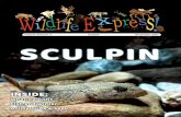 Volume 31/Issue 3 Sculpin November 2017 SCULPIN look like eels. They don’t have paired fins or jaws, yet they are still fish. So as you can see, defining what a fish is may not be