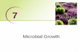 Microbial Growth - Bellarmine University Readings/Lecture Notes...7.4 Microbial growth in natural environments 1. Discuss the mechanisms used by microbes to survive starvation 2. Distinguish