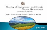 DEPARTMENT OF FORESTRY - UN Environment · PDF fileDEPARTMENT OF FORESTRY ... Direct causes include agricultural expansion; ... harvesting for energy (charcoal and firewood) and timber