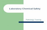 Laboratory Chemical Safety - University of Iowa … Safety...zExplain the NFPA diamond ... chemicals – Criteria for the ... other policies related to chemical safety. zEach employee