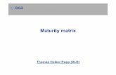 Holzer-Popp maturity matrix 022014 - CCI Open Data Portalcci.esa.int/.../content/docs/Holzer-Popp_maturity_matrix_022014.pdf · Aerosol_cci > Thomas Holzer-Popp > ESA Living Planet