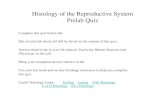 Histology of the Reproductive System Prelab Quiz - · PDF fileHistology of the Reproductive System Prelab Quiz Complete this quiz before lab. Part of your lab check-off will be based