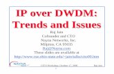 IP over DWDM: Trends and Issuesjain/talks/ftp/cito00.pdf · Nayna Networks Raj Jain 1 CITO Workshop, October 17, 2000 IP over DWDM: Trends and Issues Raj Jain Cofounder and CTO Nayna