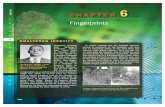 Chapter 6 - · PDF filehis identity by trying to alter his fingerprints. Below are the fingerprints of Gus Winkler’s left middle finger before and after alteration. ... FINGERPRINTING