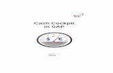 Cash Cockpit in SAP - Treasury Management · PDF fileCash Cockpit in SAP The Cash Cockpit was created in close cooperation with the specialist department at an SAP Client based on