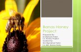 Banas Honey Project - Dairy Knowledgedairyknowledge.in/.../village_based_honey_project_banas_dairy.pdf · Banas Honey Project Prepared By: Dr Mahesh Patel I/c Honey Project Guided