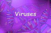 Viruses, Viroids, and Prions - …loulousisbiology.weebly.com/uploads/2/1/9/3/21932052/viruses_notes.pdfcopyright cmassengale . 14 Helical Viruses copyright cmassengale . 15 Polyhedral