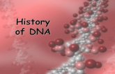 History of DNA - Chandler Unified School District / … of DNA copyright cmassengale . 2 History of DNA