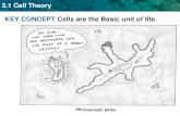 3.1 Cell Theory KEY CONCEPT Cells are the Basic unit …teachers.holyfamilydbq.org/mrhodes/files/2010/08/2011-3-1-Cell...3.1 Cell Theory KEY CONCEPT Cells are the Basic unit of life.