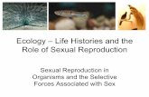 Ecology – Life Histories and the Role of Sexual Reproduction · PDF fileEcology – Life Histories and the Role of Sexual Reproduction ... Reproduction a.k.a. continuity of form
