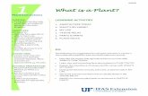 What is a Plant? - EDIS - Electronic Data Information Source - …edis.ifas.ufl.edu/pdffiles/4h/4H35800.pdf ·  · 2015-01-29some basic principles of ... The following are suggestions