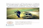 Management of hydrogen sulfide in anaerobic digestion · PDF fileManagement of hydrogen sulfide in anaerobic digestion of enzyme pretreated ... hydrogen, acetate and ... Algae, however,