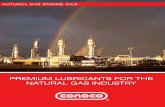 PREMIUM LUBRICANTS FOR THE NATURAL GAS · PDF filePREMIUM LUBRICANTS FOR THE NATURAL GAS INDUSTRY. ... Combined with its capability for exceptional oxidation and nitration ... It’s